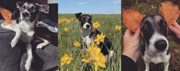 30D0CAA8-E64A-4AF7-A134-A5BE54B77207