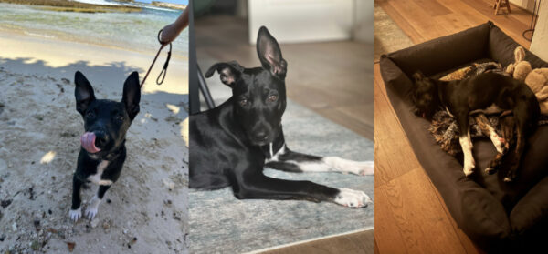 D791DE06-9E93-4163-8211-D07FC5387E4A